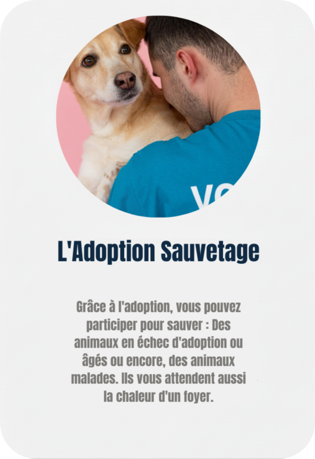 Main caressant un animal : procédure d'adoption responsable au refuge Adopte-moi. adoption